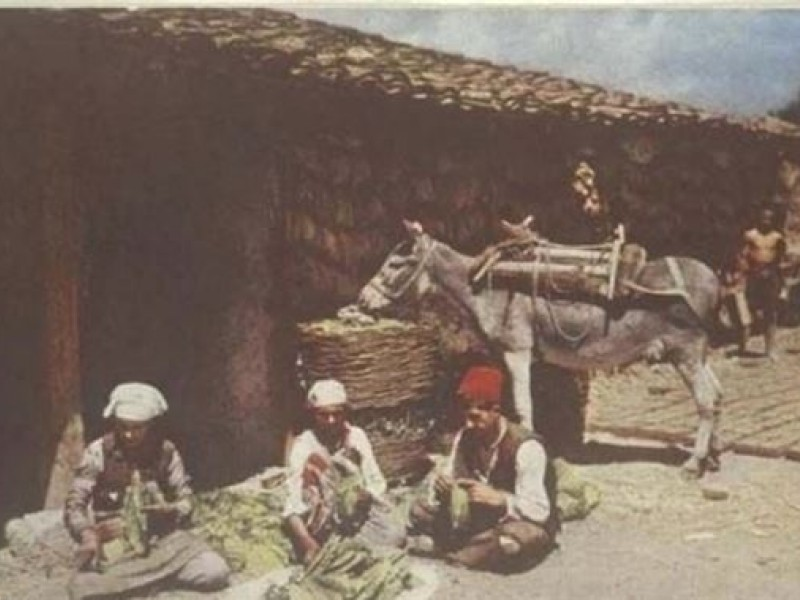 NYPL arşivinden ilk kez yayınlanan Osmanlı fotoğrafları