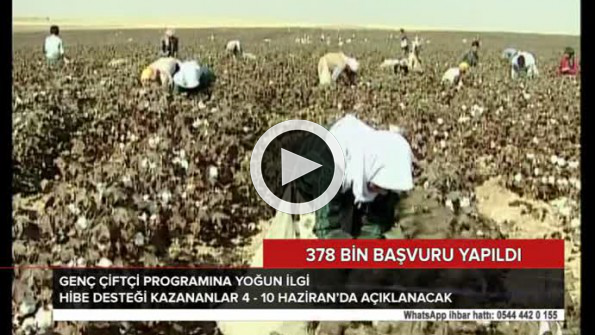 378 bin başvuru yapıldı