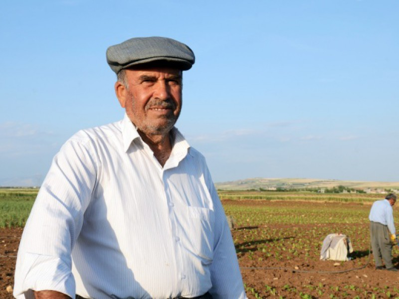 Tütün işçilerinin umudu kilo artışında