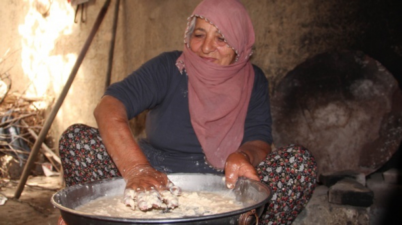 Canli Yaşli Köylü Çoban Şişko Türk