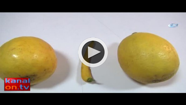 Biber görünümlü limon görenleri şaşırttı