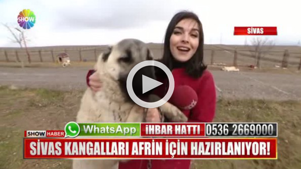 Muhabirin kangalla zor anları