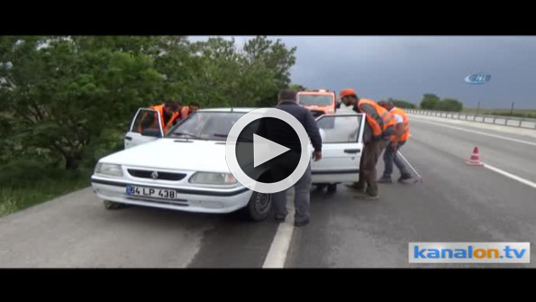 Konya-Karaman yolunda yılan hareketliliği!